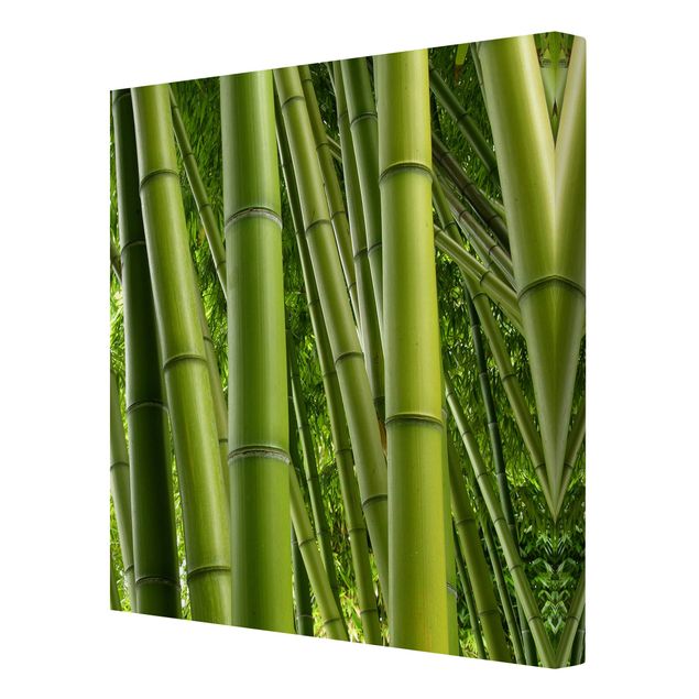 Lienzos paisajes Bamboo Trees