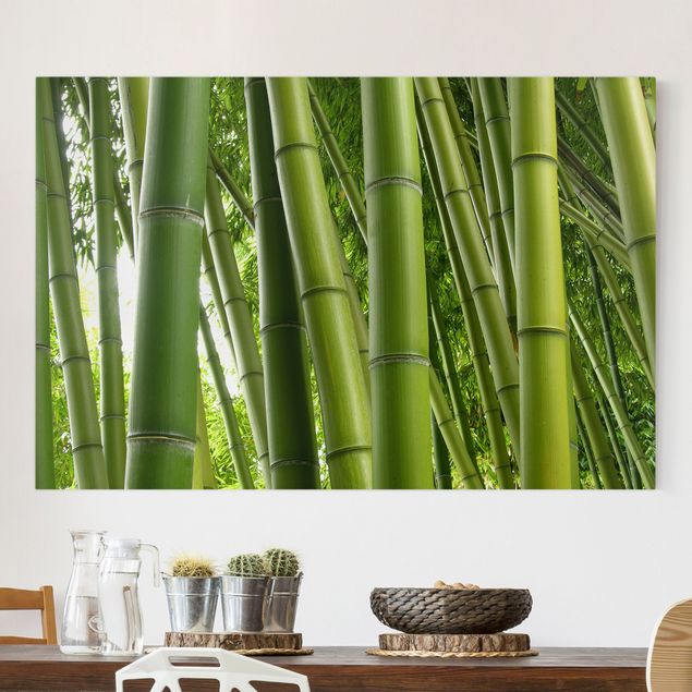 Decoración en la cocina Bamboo Trees