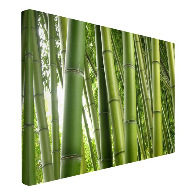 Cuadros cañas de bambú Bamboo Trees