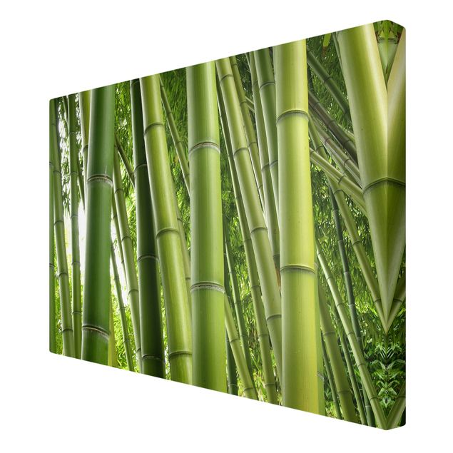 Lienzos paisajes naturales Bamboo Trees