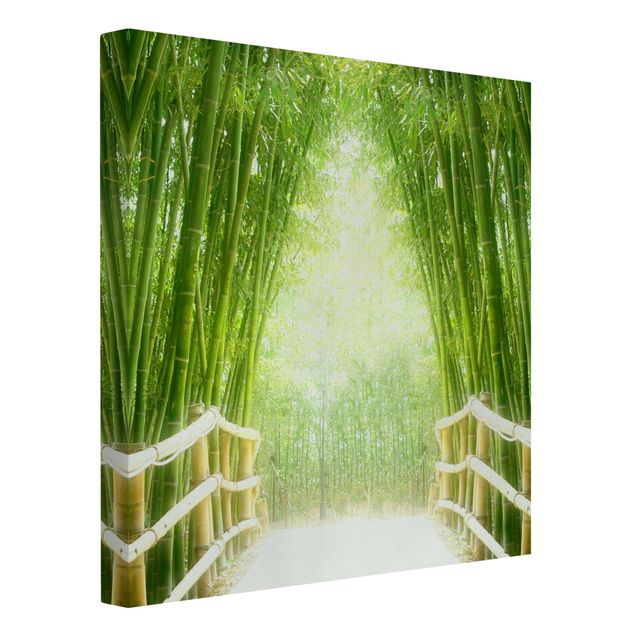 Cuadros de bambú Bamboo Way