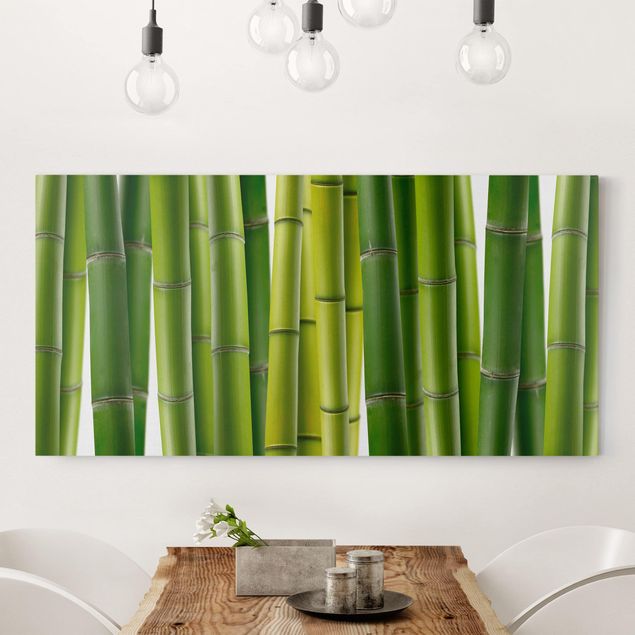 Decoración de cocinas Bamboo Plants
