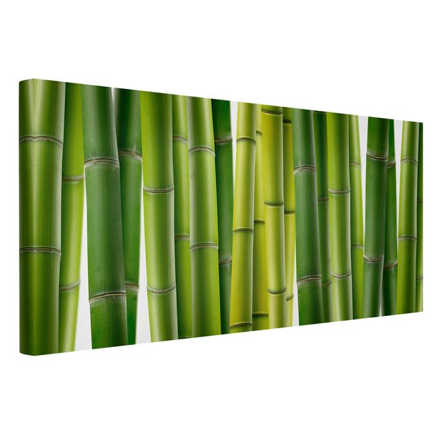 Cuadros de bambú Bamboo Plants