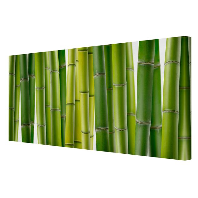 Lienzos de flores Bamboo Plants