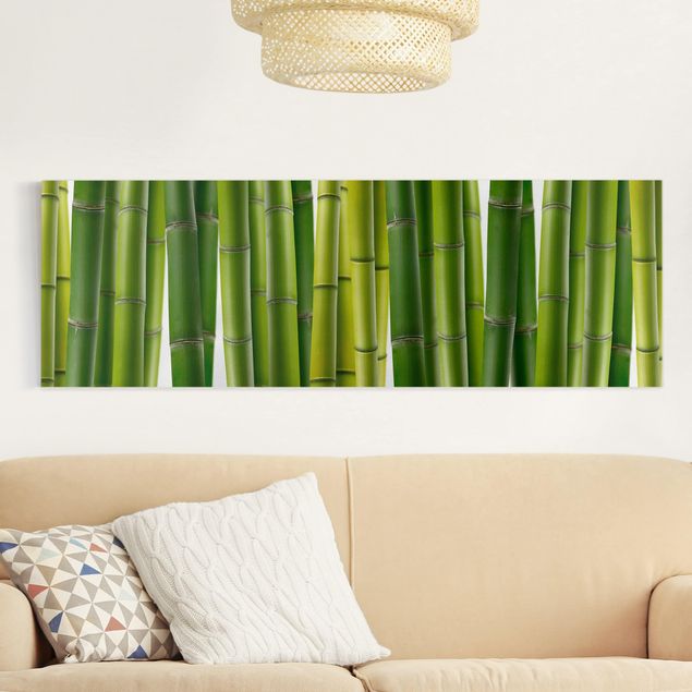 Lienzos de bambú Bamboo Plants