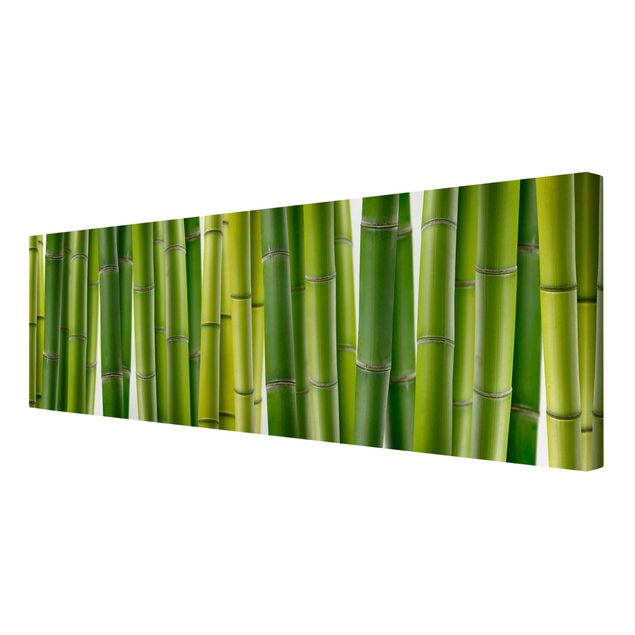 Lienzos de flores Bamboo Plants