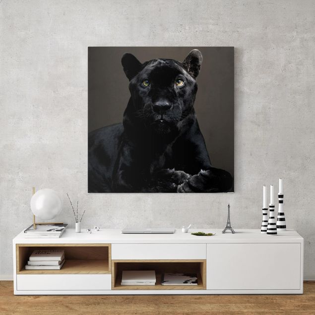Lienzo gato Black Puma