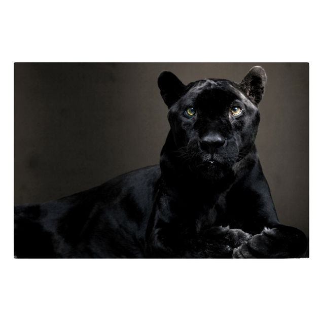 Cuadros modernos Black Puma