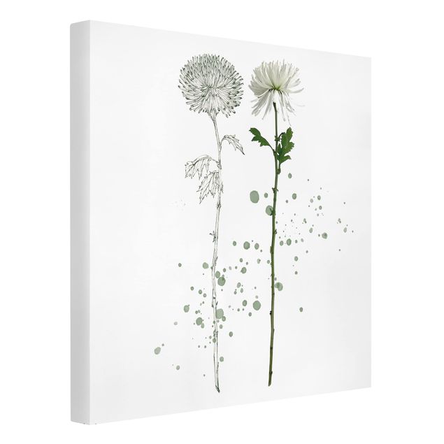 Lienzos de flores Botanical Watercolour - Dandelion