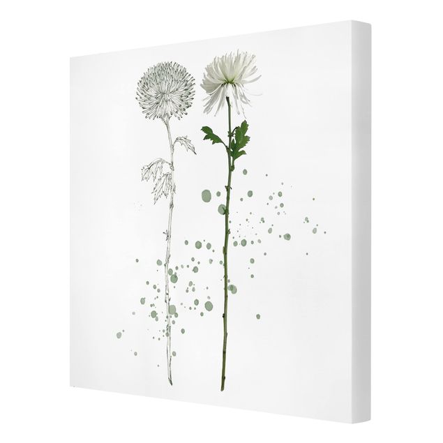 Cuadros de flores Botanical Watercolour - Dandelion