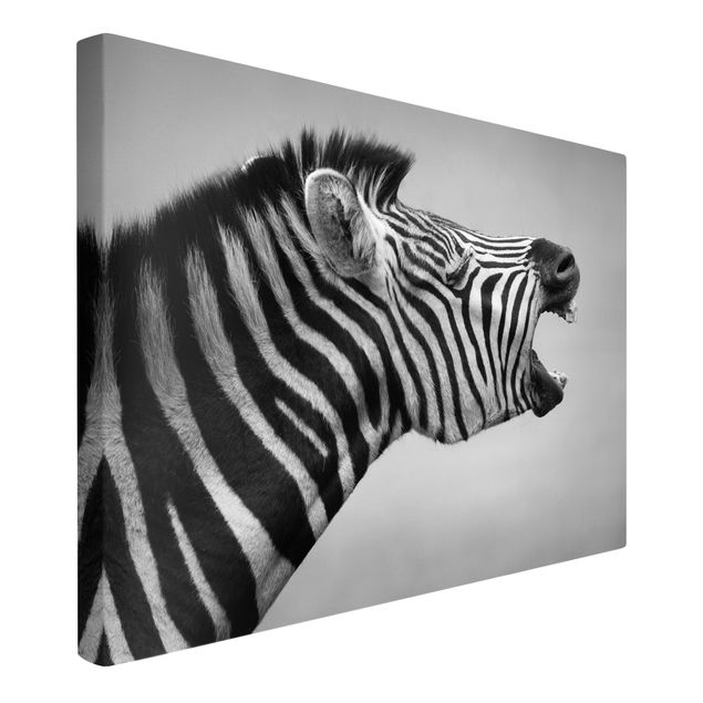 Lienzos en blanco y negro Roaring Zebra ll