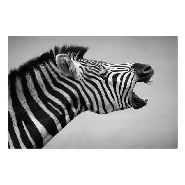 Lienzos de animales Roaring Zebra ll