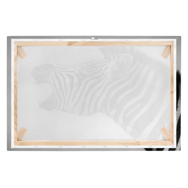 Cuadros en blanco y negro Roaring Zebra ll