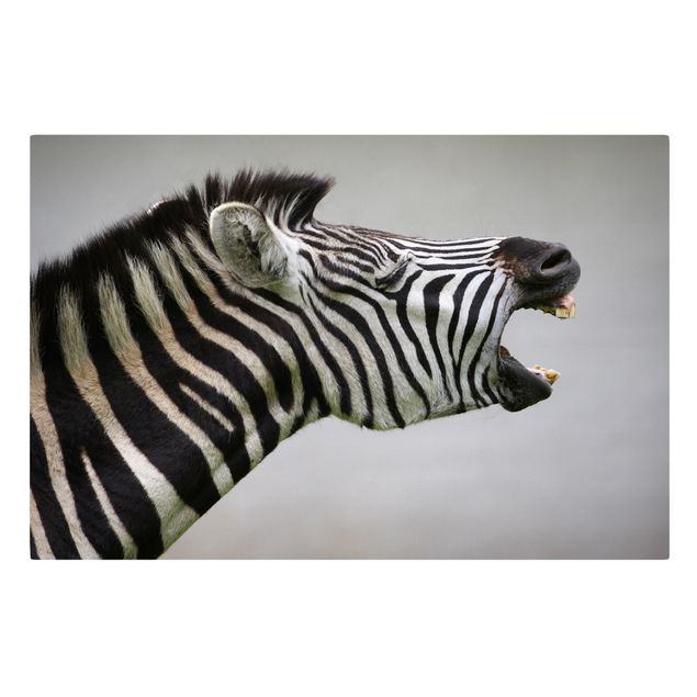 Cuadros decorativos modernos Roaring Zebra