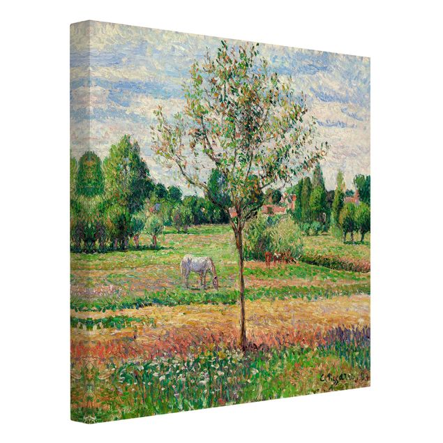 Estilo artístico Post Impresionismo Camille Pissarro - Meadow with Grey Horse, Eragny
