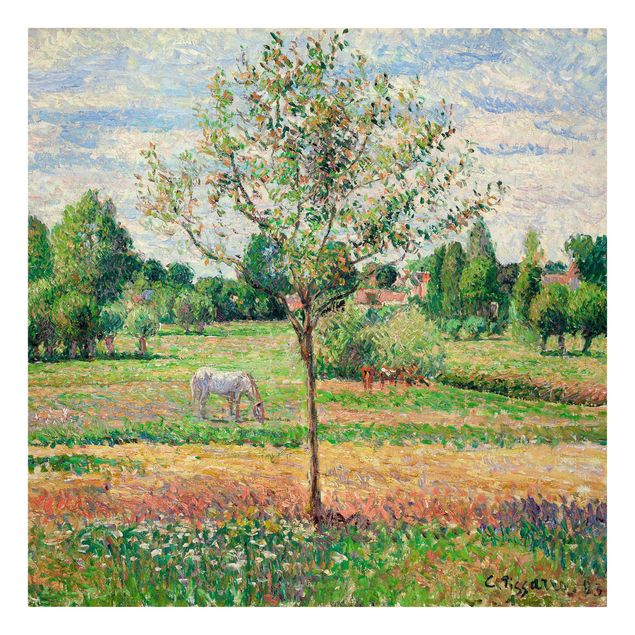 Estilo artístico Romanticismo Camille Pissarro - Meadow with Grey Horse, Eragny