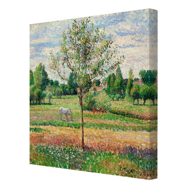 Lienzos de caballos Camille Pissarro - Meadow with Grey Horse, Eragny
