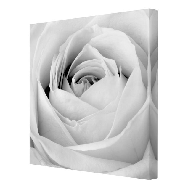 Cuadros en blanco y negro Close Up Rose