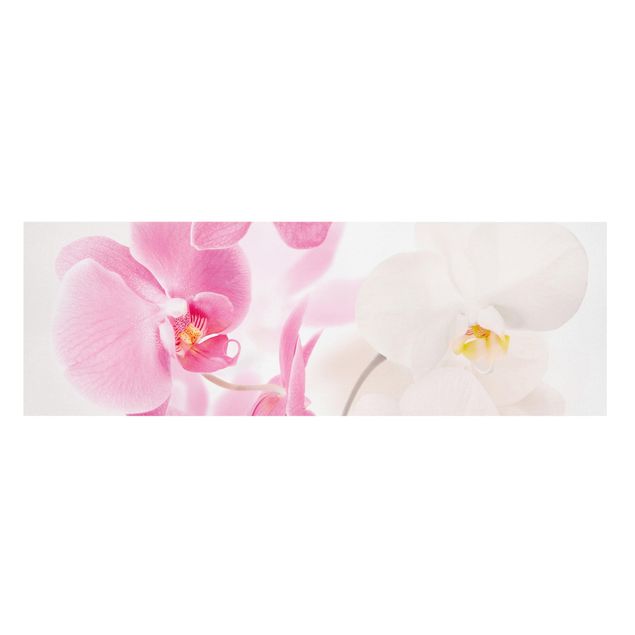 Cuadros en lienzo de flores Delicate Orchids