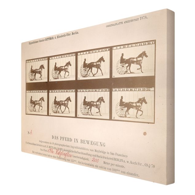 Lienzos de cuadros famosos Eadweard Muybridge - The horse in Motion