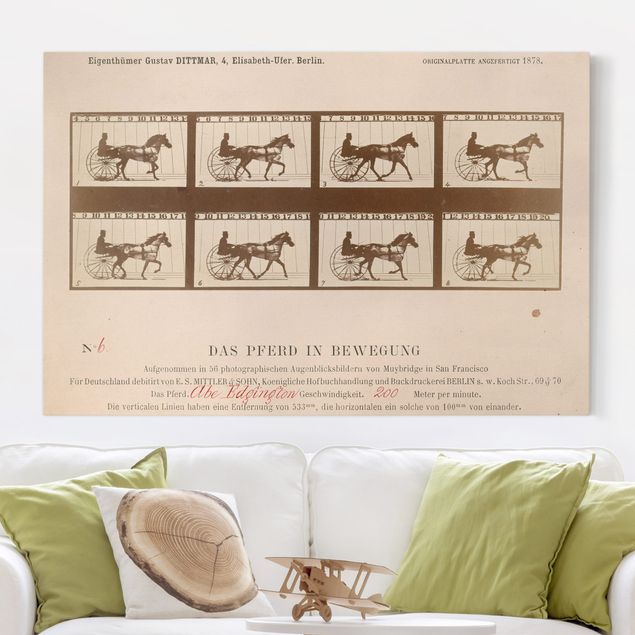 Decoración cocina Eadweard Muybridge - The horse in Motion