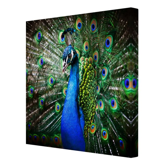 Cuadros en tonos azules Noble Peacock