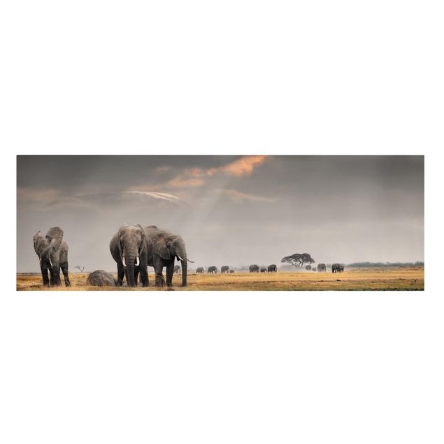 Cuadros de paisajes naturales  Elephants in the Savannah