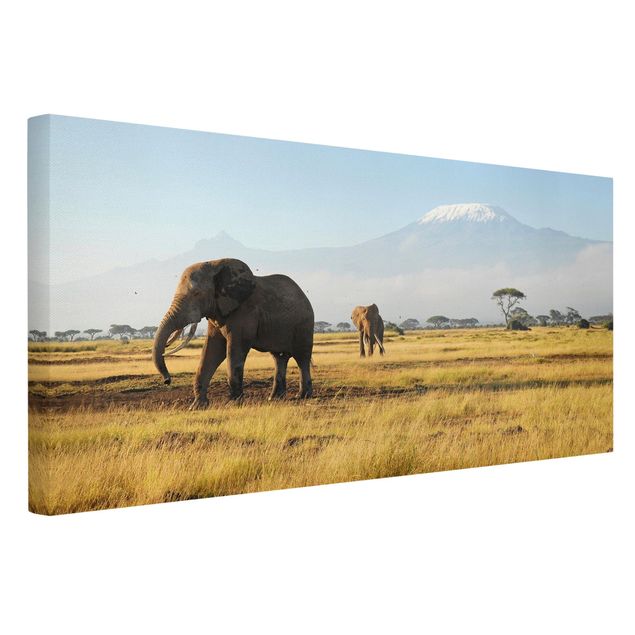 Lienzos de África Elephants In Front Of The Kilimanjaro In Kenya