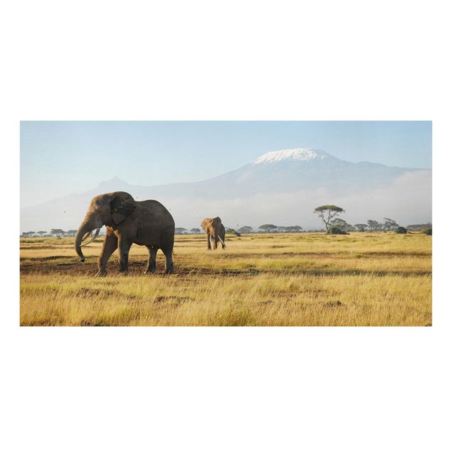 Lienzos de montañas Elephants In Front Of The Kilimanjaro In Kenya