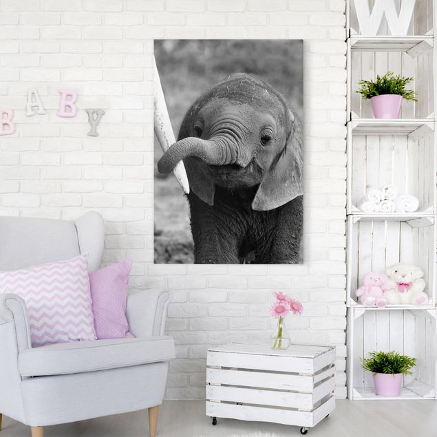 Cuadro elefante colores Baby Elephant