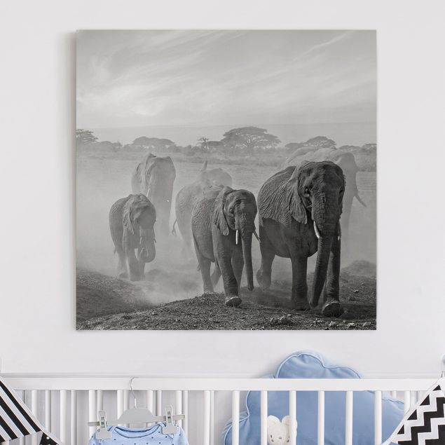Lienzos de elefantes Herd Of Elephants