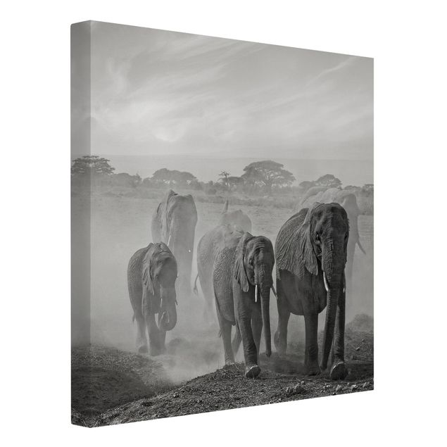 Cuadros de paisajes naturales  Herd Of Elephants