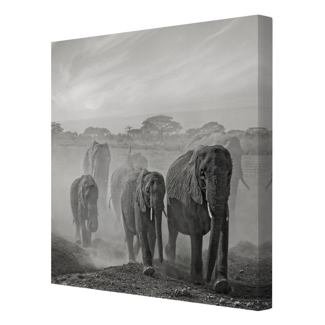Lienzos paisajes naturales Herd Of Elephants