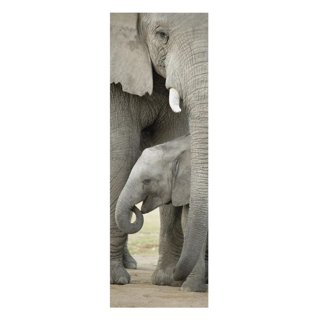 Cuadros africanos Elephant Love