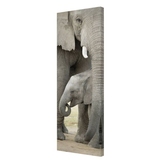 Cuadros decorativos modernos Elephant Love