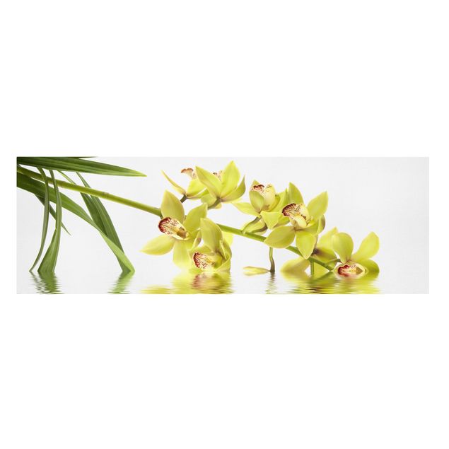 Lienzos de flores Elegant Orchid Waters