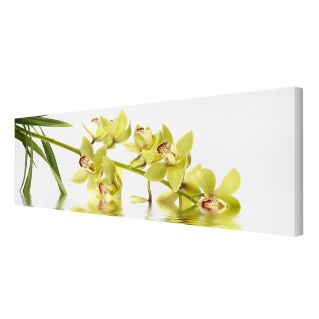 Cuadros plantas Elegant Orchid Waters