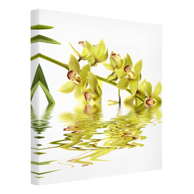 Lienzos mariposas Elegant Orchid Waters