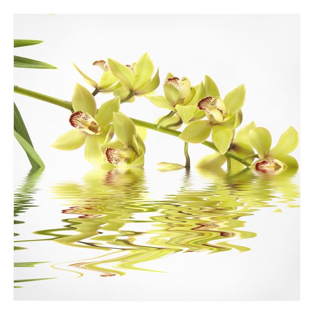 Lienzos de flores Elegant Orchid Waters