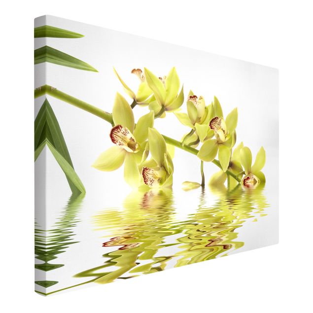 Lienzos de mariposas Elegant Orchid Waters