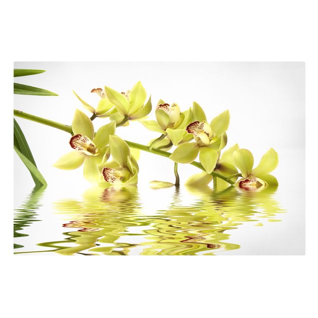Cuadros en lienzo de flores Elegant Orchid Waters