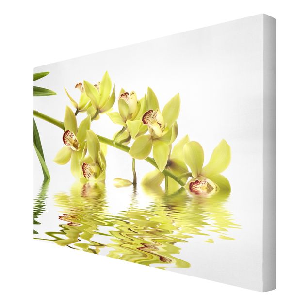 Cuadros de plantas naturales Elegant Orchid Waters