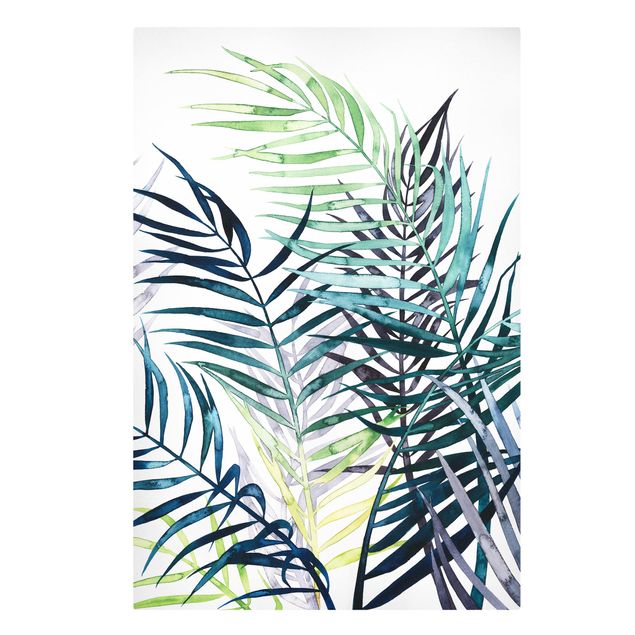 Cuadros verdes Exotic Foliage - Palme