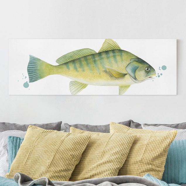 Lienzos de peces Color Catch - Perch