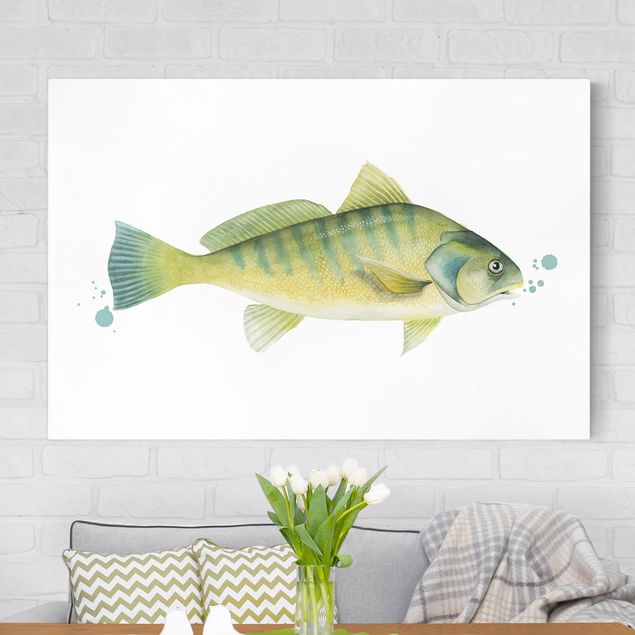 Lienzos de peces Color Catch - Perch