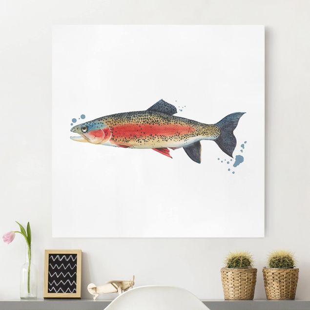 Lienzos de peces Color Catch - Trout