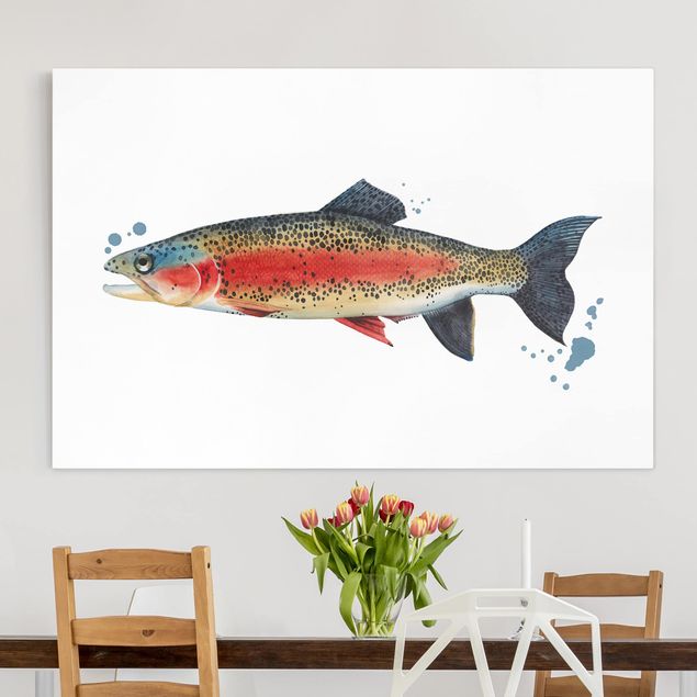 Lienzos de peces Color Catch - Trout