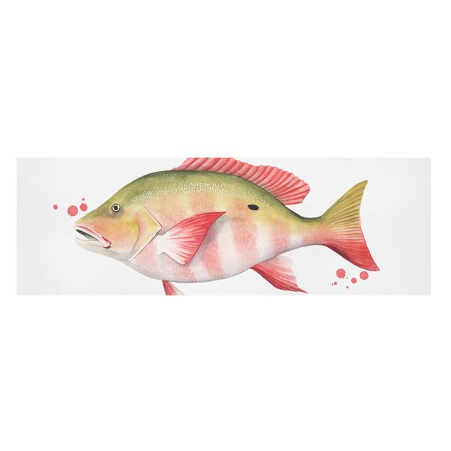Cuadros modernos Color Catch - Northern Red Snapper