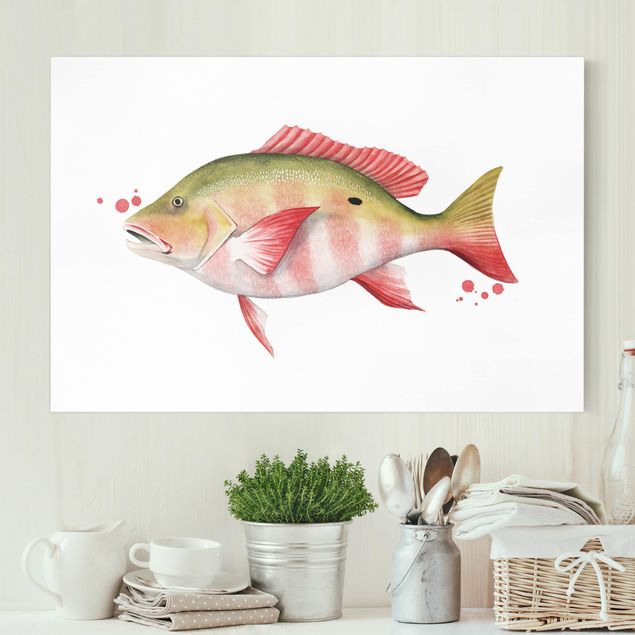 Lienzos de peces Color Catch - Northern Red Snapper