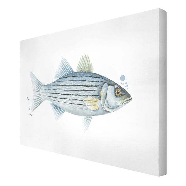 Cuadros infantiles animales Color Catch - White Perch